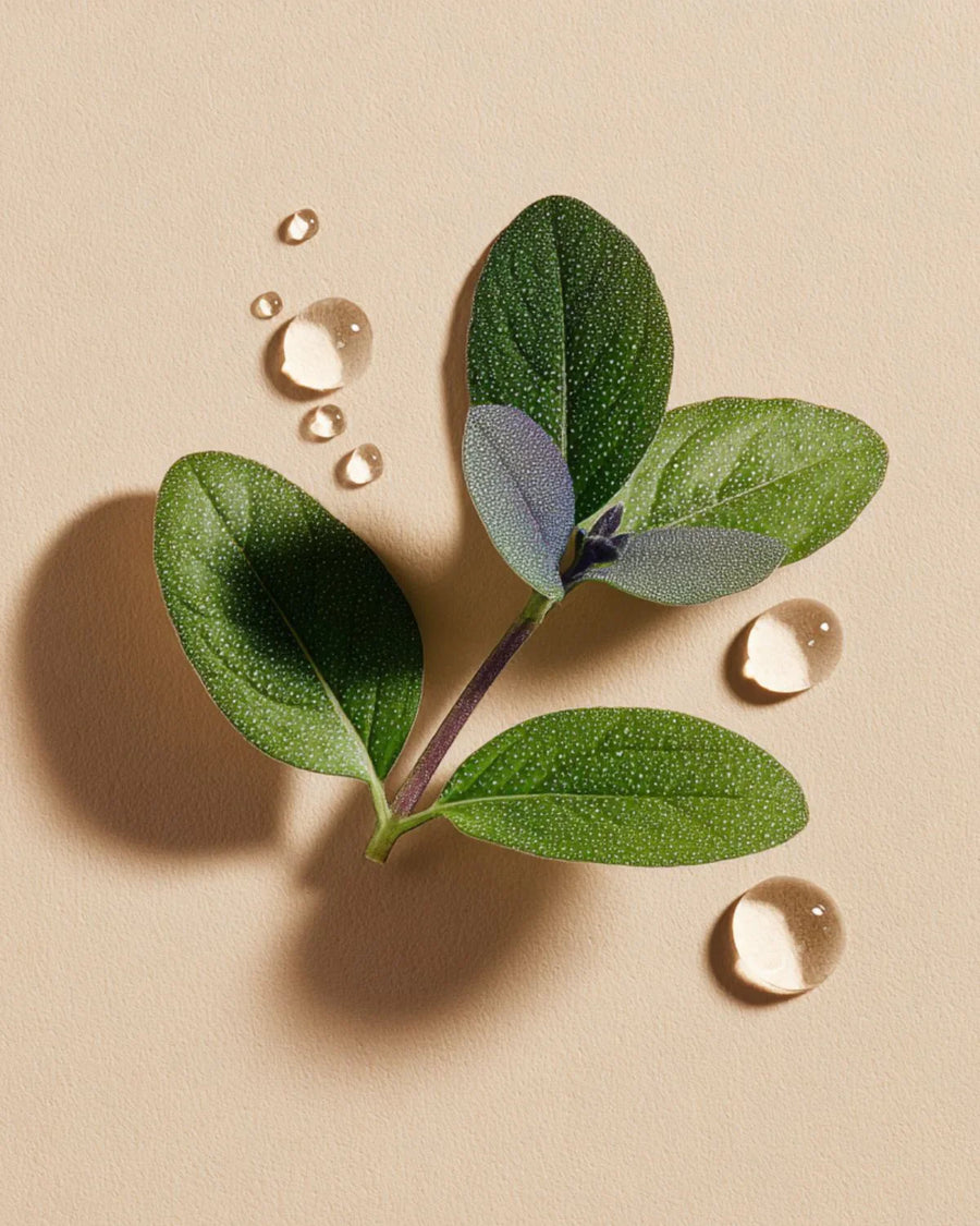 Fresh green patchouli leaves and essential oil drops on a neutral background