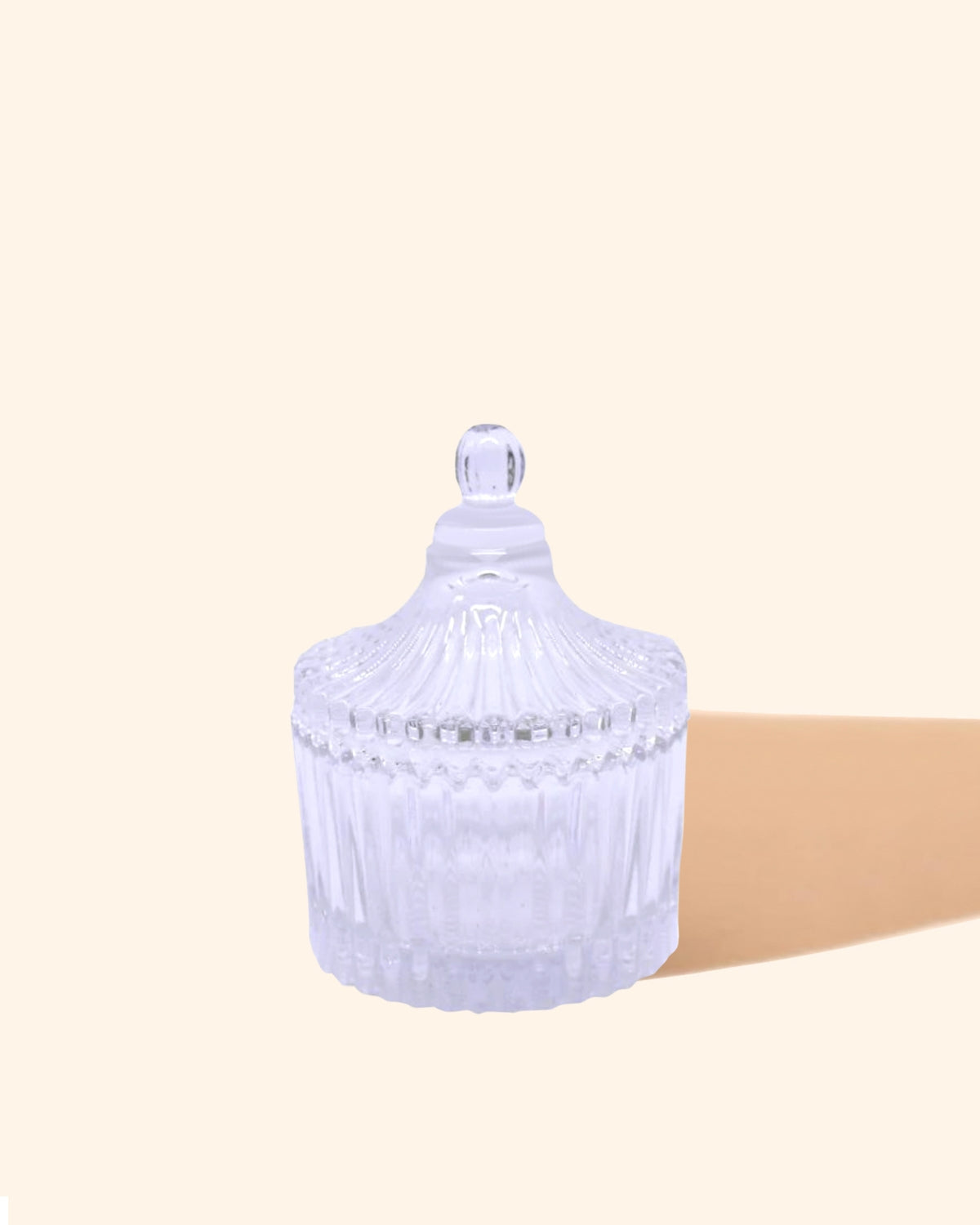 Carousel with lid - Clear Small - Wickii