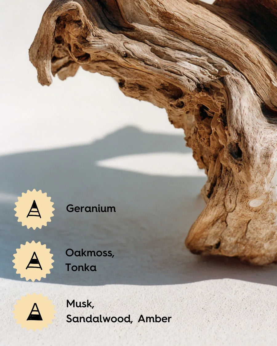Sandalwood fragrance oil notes with musk, amber, oakmoss, tonka, geranium and wood texture.
