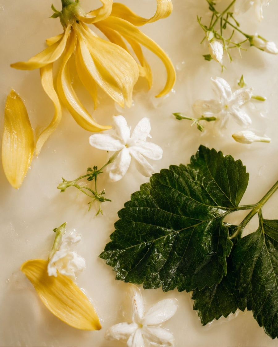 Ylang Ylang Fragrance Oil