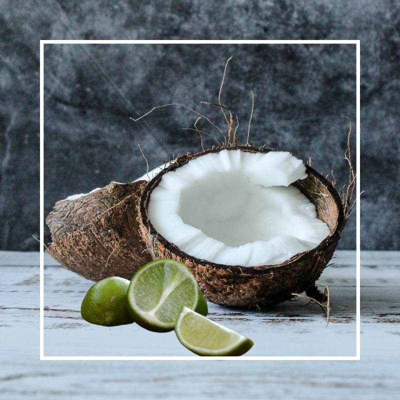 Coconut & Lime Fragrance Oil - Wickii