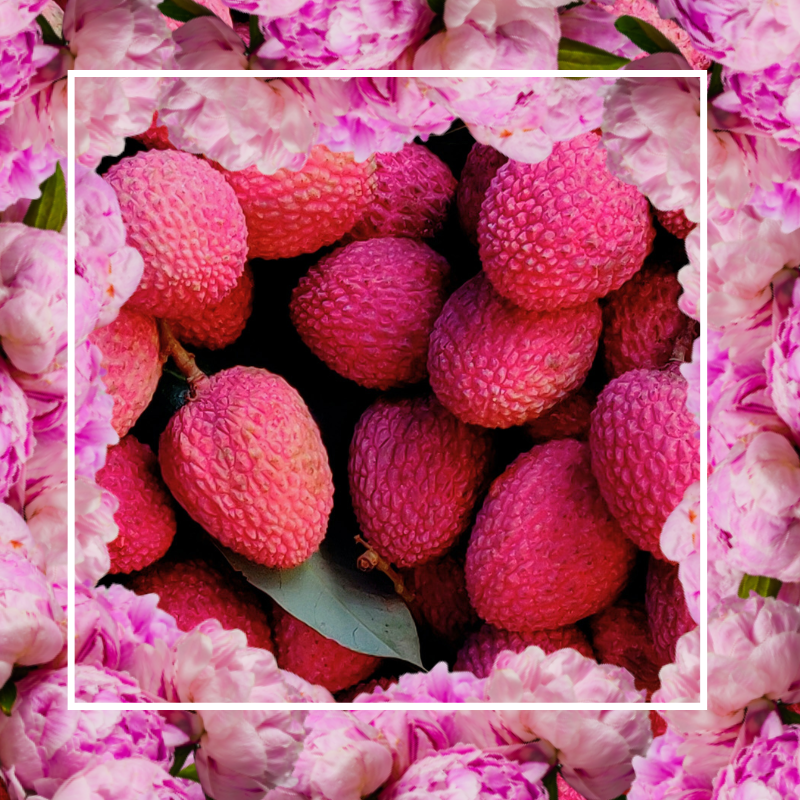 Lychee & Peony Fragrance Oil