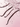 Vanilla Lip Flavour