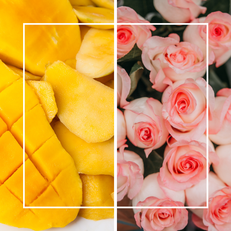 Rose & Mango Fragrance Oil - Wickii