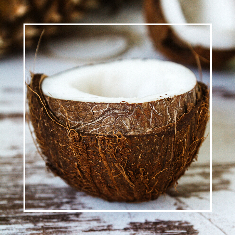 Coconut Fragrance Oil