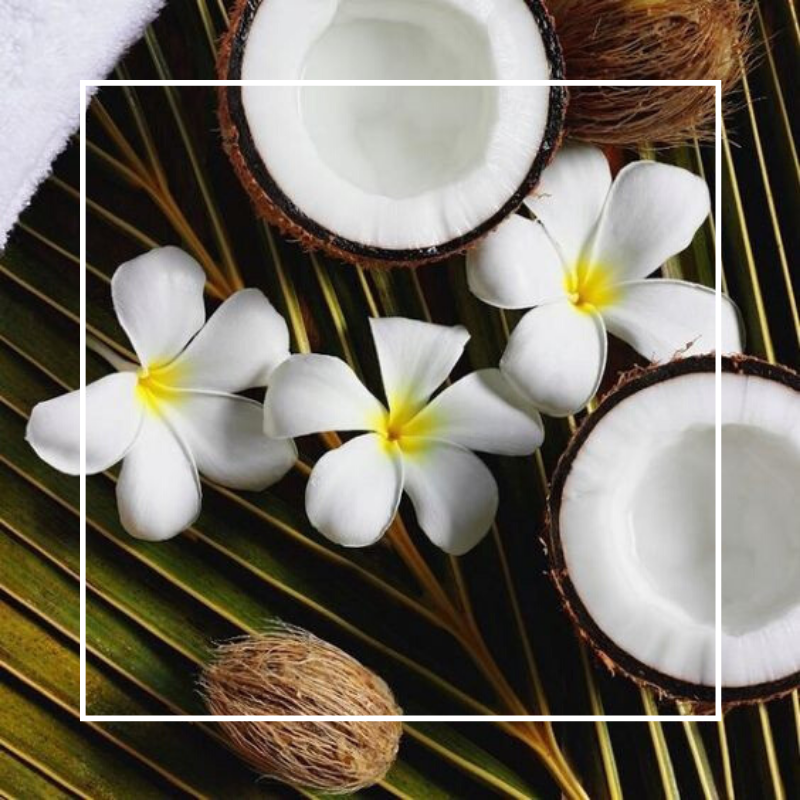 Coconut & Frangipani Fragrance Oil