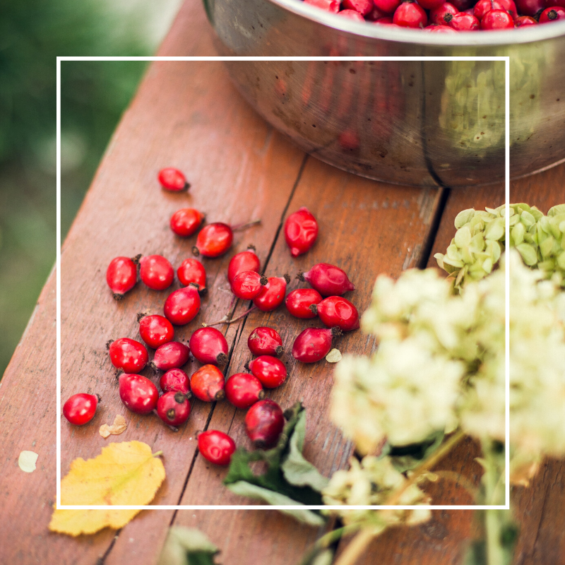 Rosehip Essential Oil